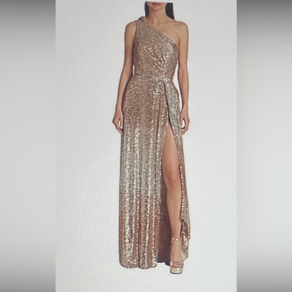 Elie Saab Evening Gown